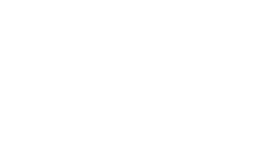 VNE Aviation Logo